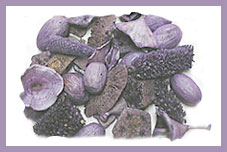 Exotic Mixtures 5
