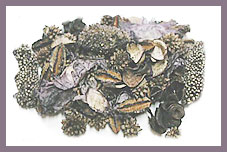Exotic Mixtures 6