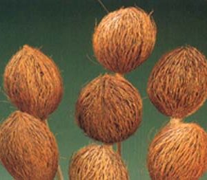 Fibre Balls