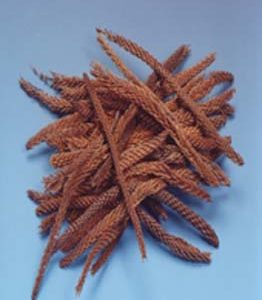 Fir Peeled