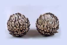 Grass Exotic Ball