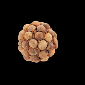 Gouri Fruit Ball