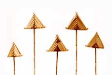 Grass Arrow