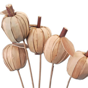 Hogla Apple