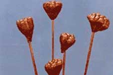 Jack Seed