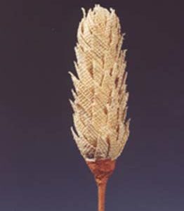 Jute Candle