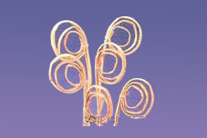 kambu Coil