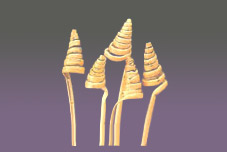Kambu Cone