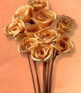 Kinnu Rose