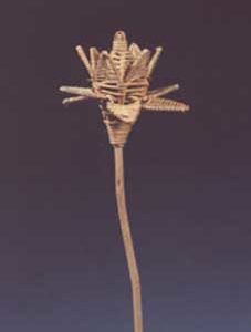 Lata Lily Flower