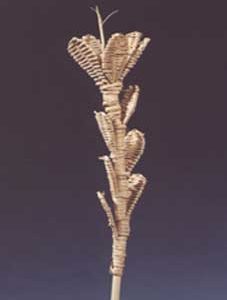 Lata Lily Tree