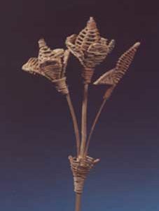 Lata Tree