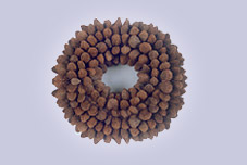 Lichu Wreath