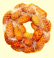 Long Canella Wreath