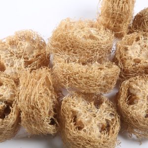 Luffa Cut