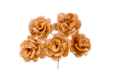 Luffa Deco Rose