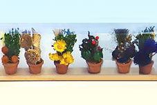MINI POTSET