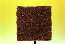 MOSS MAT