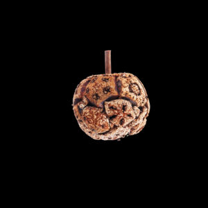 Mahogany Slice Apple
