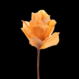 Maize Leaf Flower