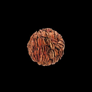 Mini Arjun Ball