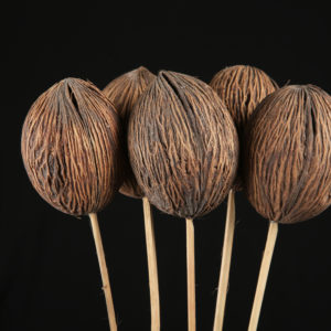Mintola Ball