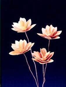 Nepal Flower