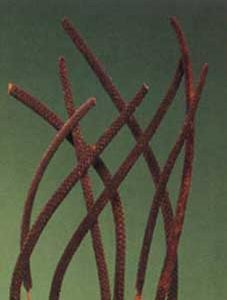 Palm Finger
