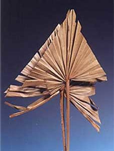 Palm Pyramid