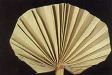 Palm Round