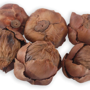 Palm Tender