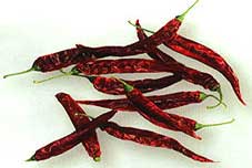 Pepper Red