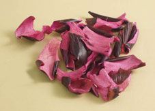 Packiya Petals