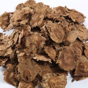 Palbosa
