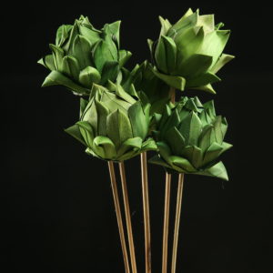 Palm Artichoke