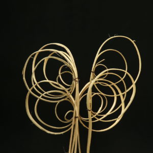 Palm Coil