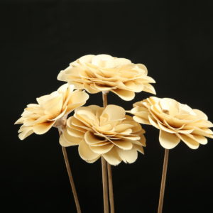 Palm Deco Rose