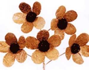 Palm Fibre Flower