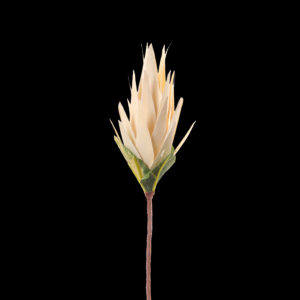 Palm Leaf Flower