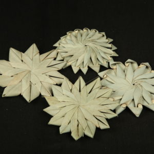 Palm Sunny Single