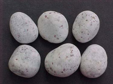 Pebbles 5