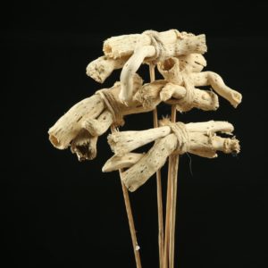 Pepe Cone Posy On Stem