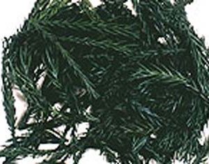 Pine Needle Psvd Cld