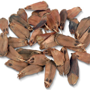Pine Petal
