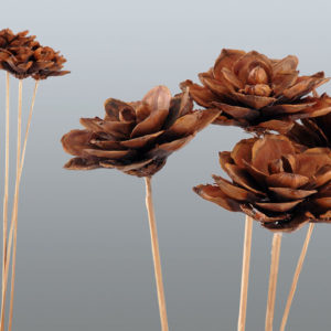 Pine Petal Flower