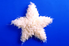 Pipul Star