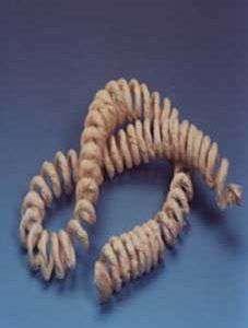 Raffia Spring Bleach