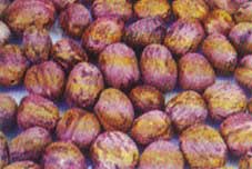 Rubro Pods