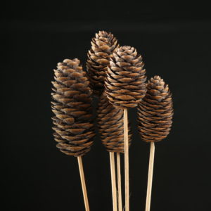 Rye Cone