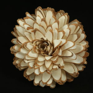 Skin Beauty Rose